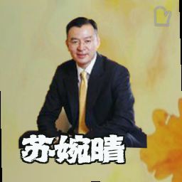 苏婉晴